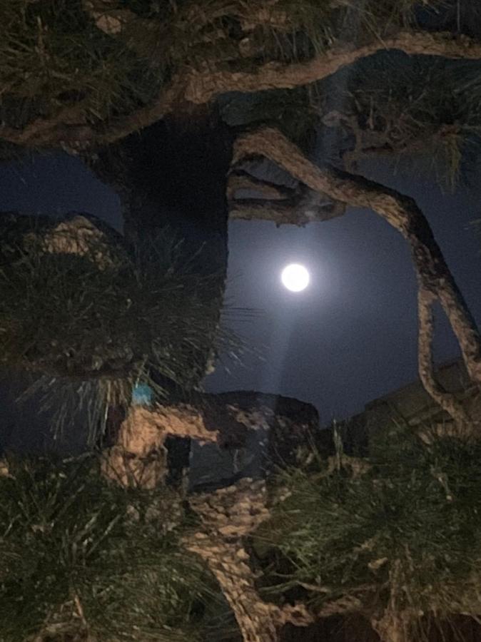 湯浅長 Shimo-saga Dış mekan fotoğraf