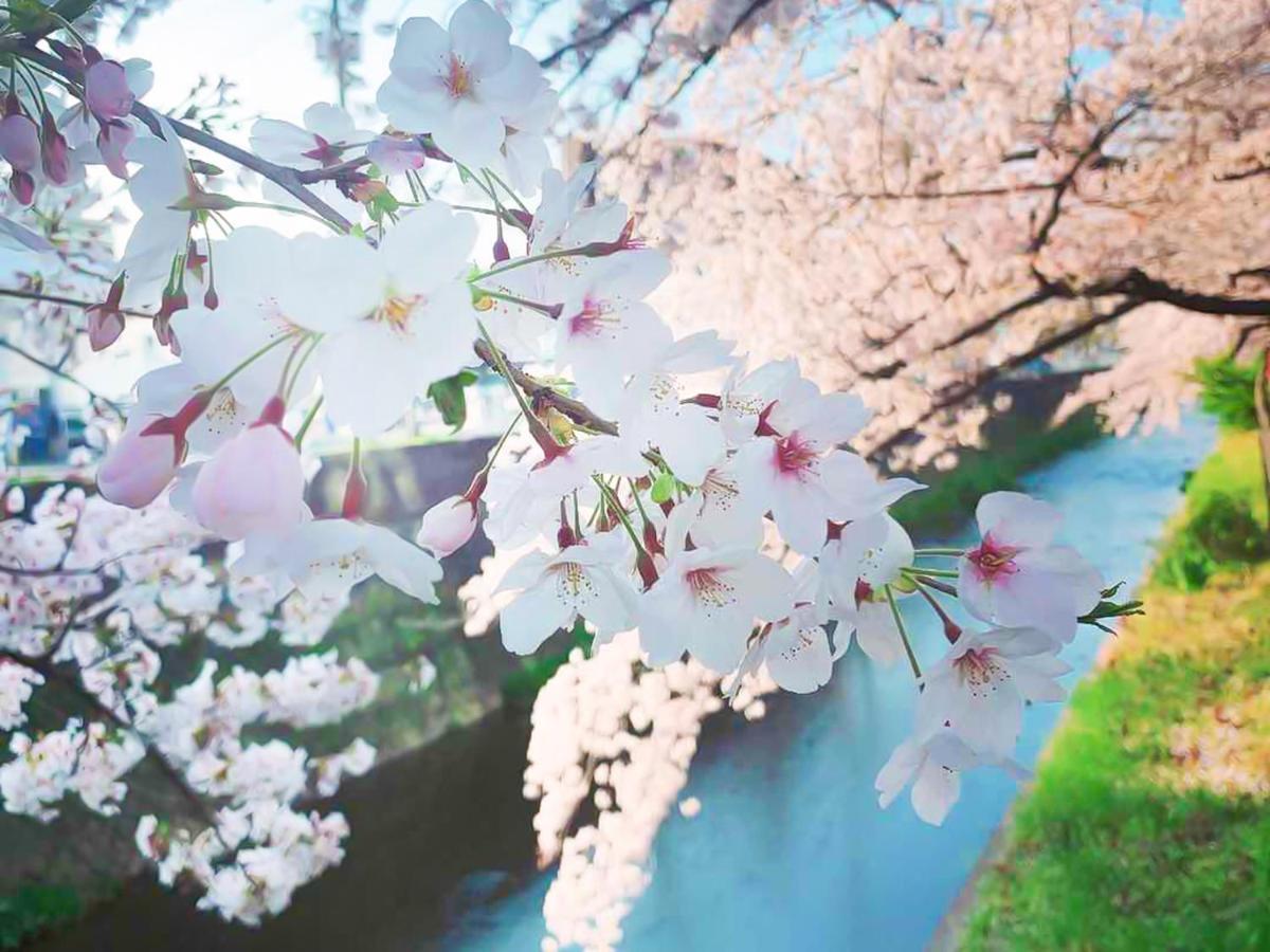 湯浅長 Shimo-saga Dış mekan fotoğraf